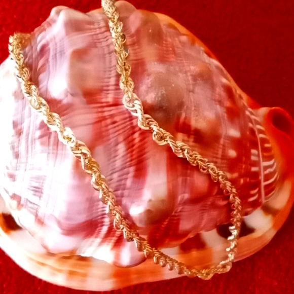 **SOLD SOLD** 10k YELLOW GOLD ROPE NECKLACE - Picture 4 of 8